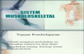 Fisiologi Muskoskletal PPT.ppt