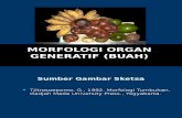 S1-Morfologi Organ Generatif (BUAH) 2 (1)