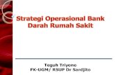 Strategi Operasional BDRS