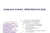 Presentasi Pelvis Punggung