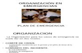 3.-_organizacion Para Una Emergencia