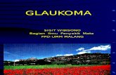 Glaucoma makalah