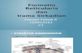 Formatio Reticularis Dan Irama Sirkadian (Blok 6)