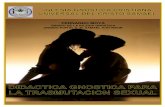 Didactica Gnostica Para Trasmutacion Sexual