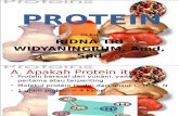 Pertemuan 3 (Protein)