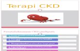 Terapi CKD