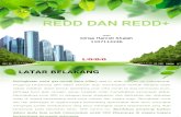 REDD DAN REDD+ (IDRIES HAMIDI SHALEH)