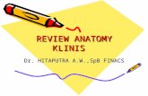Review Anatomy Klinis bag 1