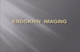Endokrin Imaging.ppt 2