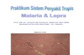 Present. Praktikum Sis. Peny. Tropis (Lepra&Malaria)
