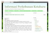 Informasi Perkebunan Kotabaru_ Format Dokumen Rencana Usaha