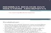 P3membran Biologis Mekanisme Absorpsi