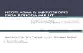 Tugas Dr.sanies Neoplasma & Mikroskopis Pada Rongga Mulut