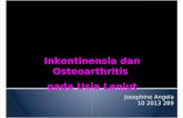 PBL Blok 13 - Inkontinensia dan Osteoarthritis Pada Usia Lanjut