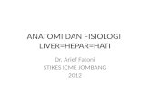 Anatomi Dan Fisiologi Liver 2012
