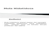 261279600-Mola-Hidatidosa-Ppt (2)