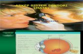 Pengkajian Fisik Sistem Sensori (Mata)