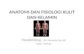 Refreshing Anatomi Dan Fisiologi Kulit - Farhan