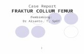Case Fr.collum Femur