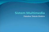 Sistem Multimedia 1