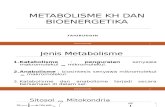 2. Metabolisme KH dan Bioenergetika.pptx