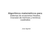 Algoriritmo matematicos para sistemas de ecuacions
