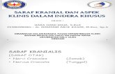 PPT Refarat Saraf Kranial.ppt