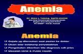 Anemia Kuliah 06