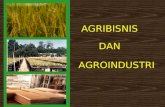 AGROIND&AGROBISNIS 2