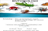 Pengantar 2 entomologi