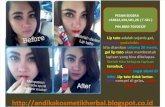 Merk Lipstik Yang Tahan Lama Di Indonesia, Merk Lipstik Tahan Lama Dan Tidak Kering, Monomola Lips Tatto, +62822,344,501,26