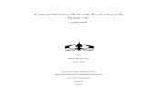 Proposal Hydraulic Fracturing Apfia PDF