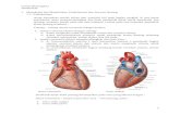PBL Cardio Skenario 2