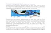 Morfologi Dasar Laut Indonesia