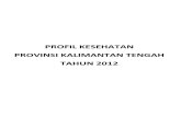 21 Profil Kes.prov.KalimantanTengah 2012