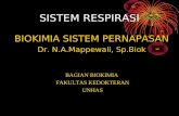 Sistem Respirasi biokimia