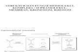 Struktur Dan Fungsi Biomelekul Kompleks[1] - Copy
