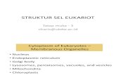 Tatap Muka 3-3 -2-Struktur Sel Eukariot-charis 2014
