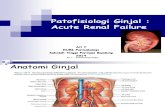 Patofisiologi Ginjal - ARF