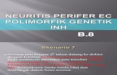 Pleno 27 Neuritis Perifer Ec Polimorfik Genetik Inh