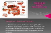 Fisiologi Sistem Pencernaan (2)