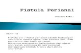 Fistula Perianal Pw Poin