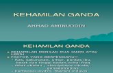 Dr.aminuddin - Kehamilan Ganda