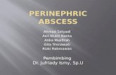 perirenal abses