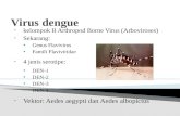 Dengue Syok Sindrom.pptx