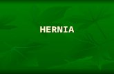 Refrat Hernia Inguinalis