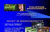 NatSci 5 Biodiversity