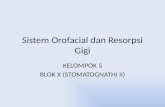 Sistem Orofacial Dan Resorpsi Gigi KEL 5. Fiks