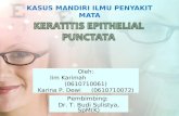 Keratitis Epithelial Punctata