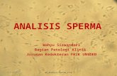 analisis sperma
